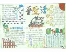 爱生活手抄报