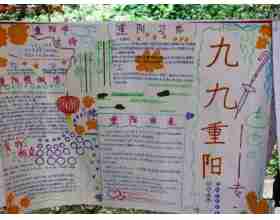 重阳节的手抄报：九九重阳