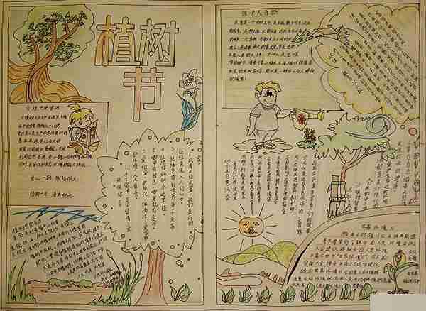 <b>爱护树木_植树节手抄报</b>