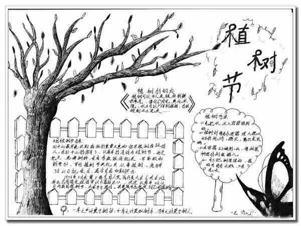 <b>植树节_绿化祖国手抄报内容</b>