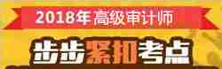高级审计师大纲解析
