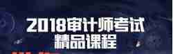 审计师考试指南